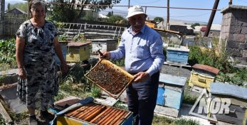 Եվրոպական Միության շուկան դեռևս անհասանելի է մնում Ջավախեթիի մեղրի և կարտոֆիլի համար
