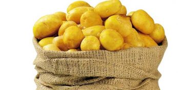 Վրաստանից կարտոֆիլի սերմացուի արտահանման ծավալները ռեկորդներ են սահմանում