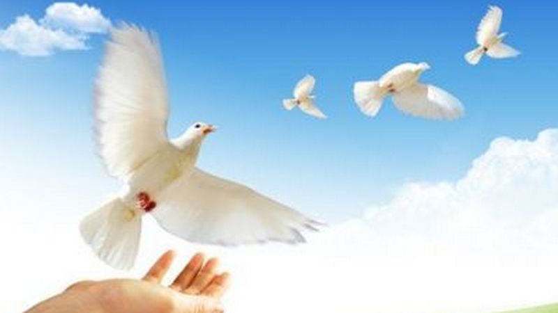 Սեպտեմբերի 21-ը Խաղաղության միջազգային օրն է
