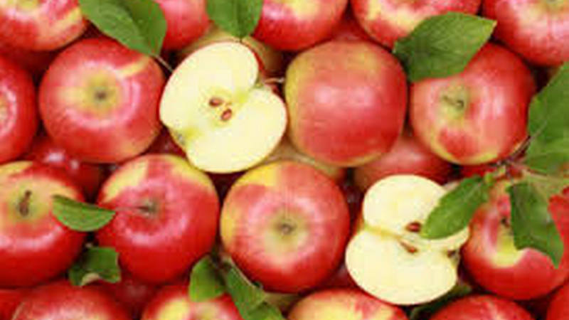 Վրաստանից ռեկորդային թվով խնձոր է արտահանվել