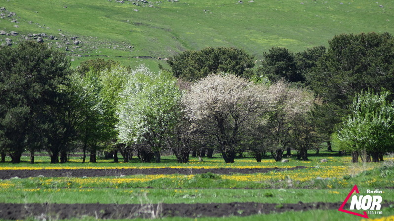 Խանչալի լիճը և շրջակա բնությունը․ Ֆոտոշարք