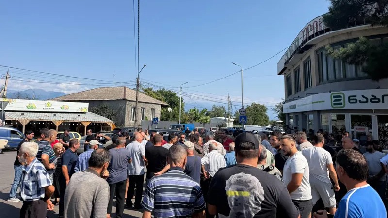 Քվարելիի և Գուրջաանիի գինեգործարաններում ֆերմերները բողոքի ակցիա են անցկացնում