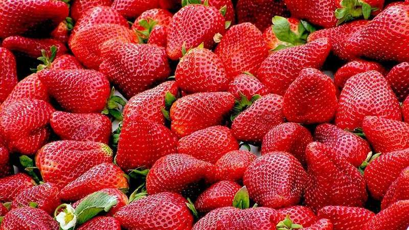 Վրաստանը այս տարի 50%-ով պակաս է ելակ գնել