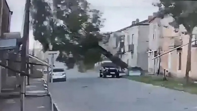 Ախալքալաքում ծառն ընկել է մեքենայի վրա