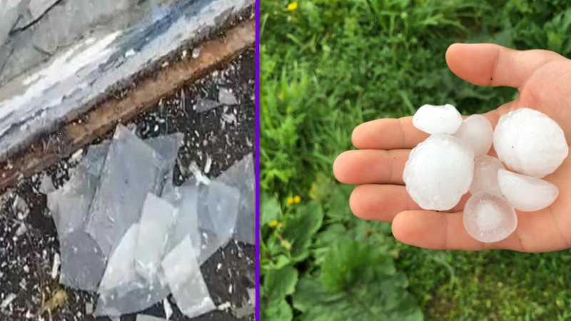Նինոծմինդայի Օրլովկա և Գորելովկա գյուղերում կարկուտը պատճառել է վնաս