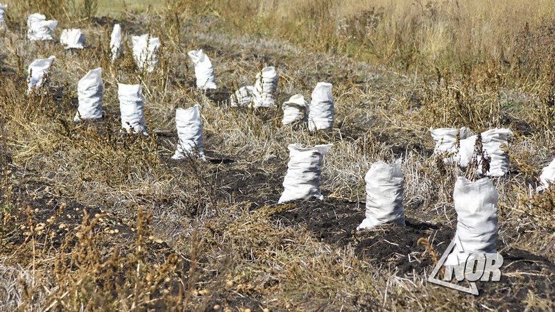 Նինոծմինդայի շրջանում գյուղատնտեսությունը «մեռած է», բայց դեռեւս «թաղված չէ». Ինչպես փրկել