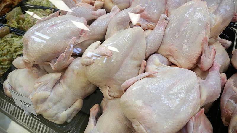 Թբիլիսիի  «Տաշիր Պիցա»-յում հայտնաբերվել է սալմոնելայով վարակված հավի միս