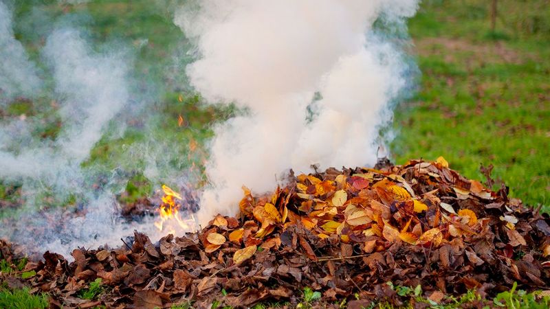 Տերևներ այրելու համար տուգանքը կկազմի 500 լարի