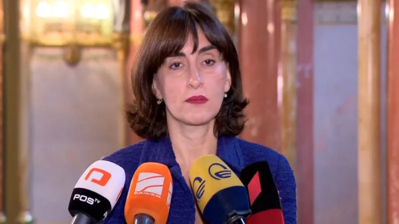 Վրաստանը միշտ եղել է, կա և կլինի Եվրոպայի մաս․ Մակա Բոչորիշվիլի