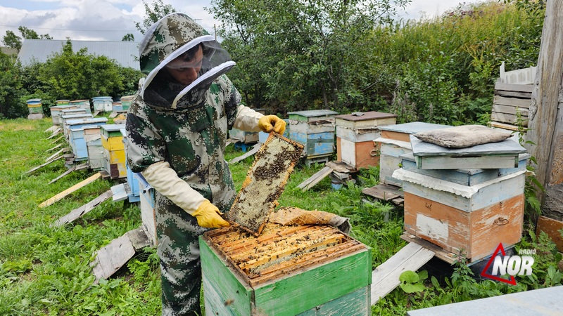 Նինոծմինդայի մեղրը.  արտահանում, որակ, ավանդույթ և համաշխարհային ճանաչում