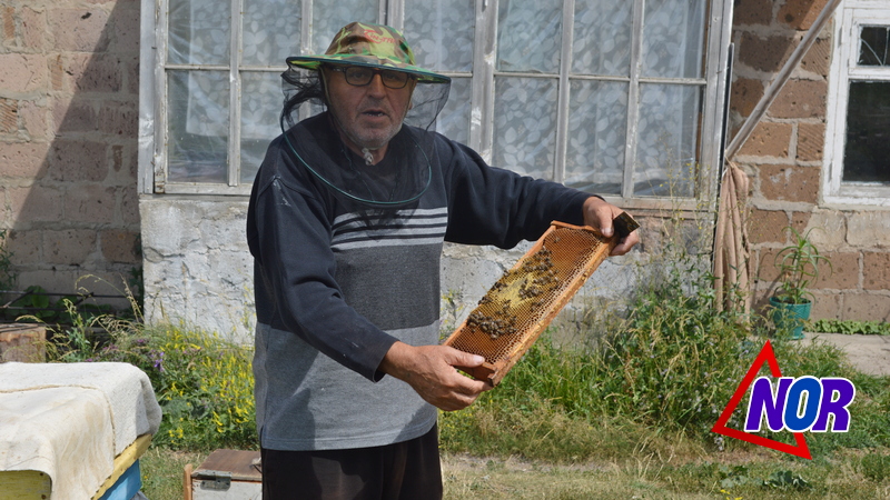 «Նինոծմինդայի մեղրը» հաղթել է Լոնդոնի մեղրի միջազգային մրցույթում