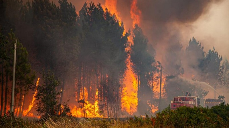 Կանադայում անտառային հրդեհների պատճառով տարհանվել է 16 հազար մարդ