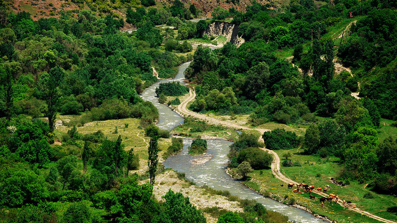 Երկու օր որոնվող  Ախալքալաքի շրջանի երեք երիտասարդները գտնվել են