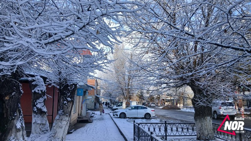 Որքա՞ն է լինելու Նինոծմինդայի ամանորյա զարդարանքների արժեքը