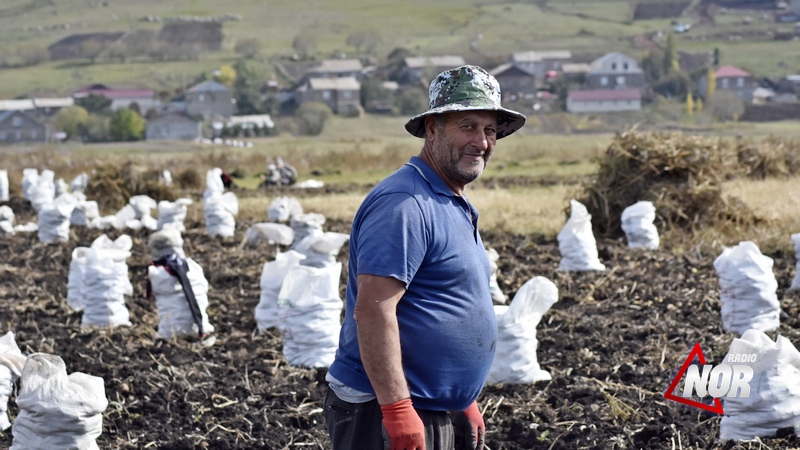 Կարտոֆիլը հիմա պետք է վաճառել, որ հետո խնդրի առաջ չկանգնել