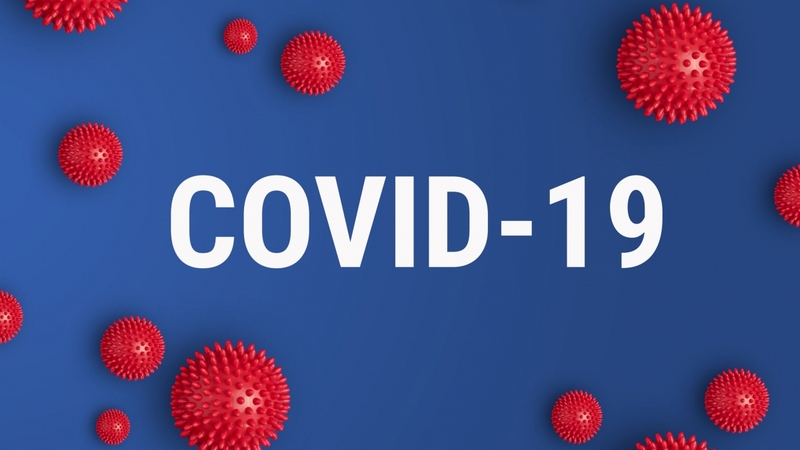 Վրաստանում հաստատված «Covid-19» նոր շտամը ավելի արագ է տարածվում. Թամար Գաբունիա
