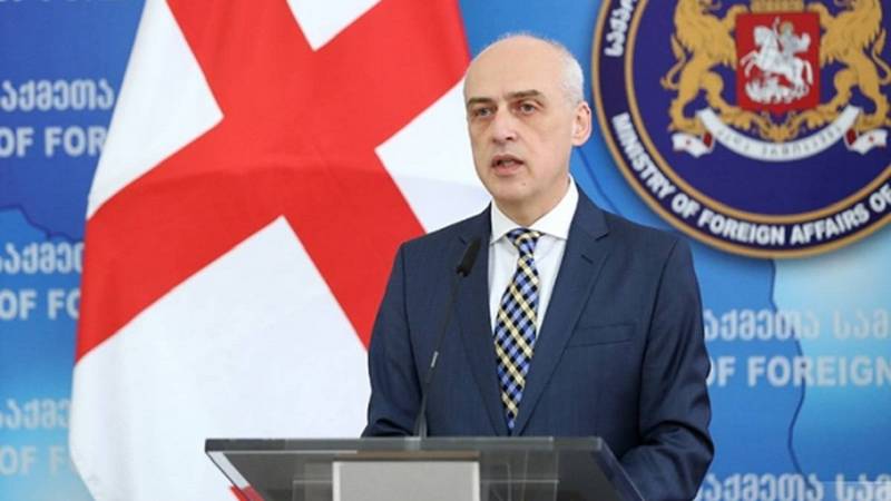 Ադրբեջանից որևէ բողոք չունենք. Վրաստանի ԱԳ նախարար