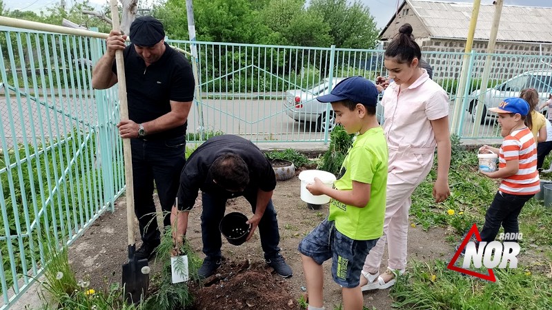 Ծառատունկ Նինոծմինդայում