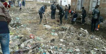 Фото: Школа «Шота Руставели» села Гандза решила проблему мусора