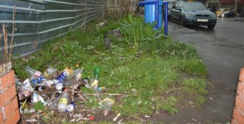 Фото: Не убранный мусор