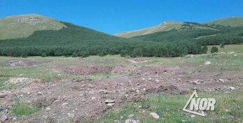 В Самцхе-Джавахетии выявили факты незаконной вырубки леса