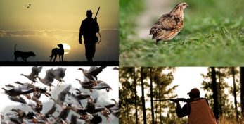 Сезон охоты  на перелетных птиц закрыт