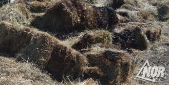 Фото: Сгорело 500 тюк сена в селе Большое Ханчалы