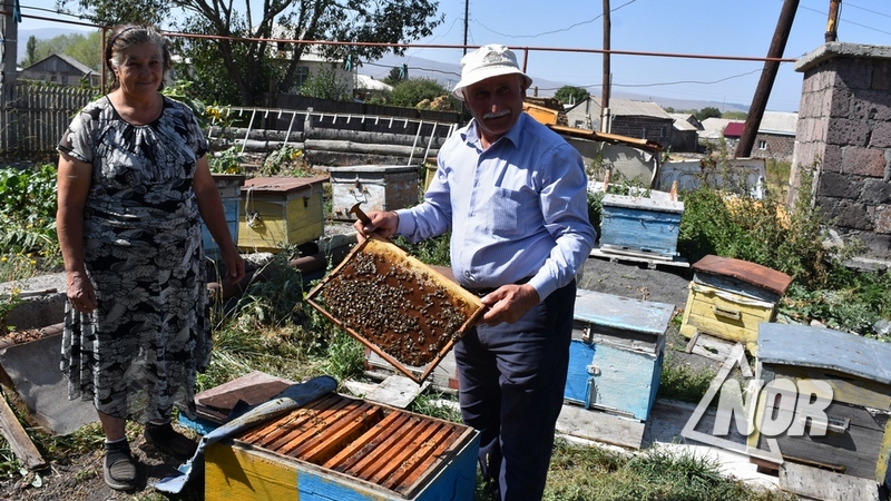Видео: В Европе тоже любят мед и сыр, но фермеры из Джавахети не торгуют там