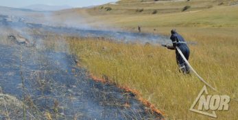 Видео: Пожар на склонах гор сел Учмана и Тория