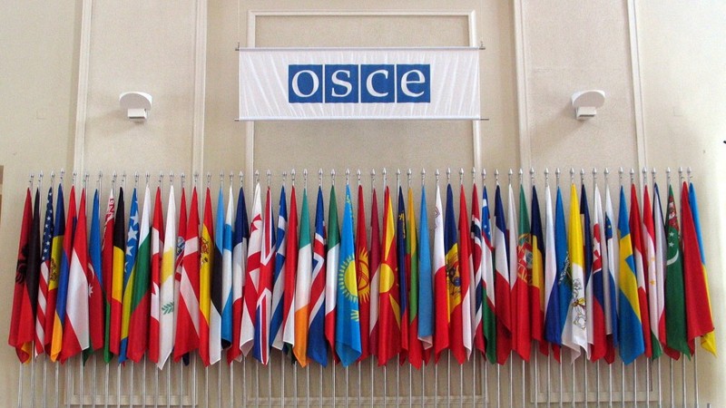 За местными выборами в Грузии будет наблюдать делегация ОБСЕ