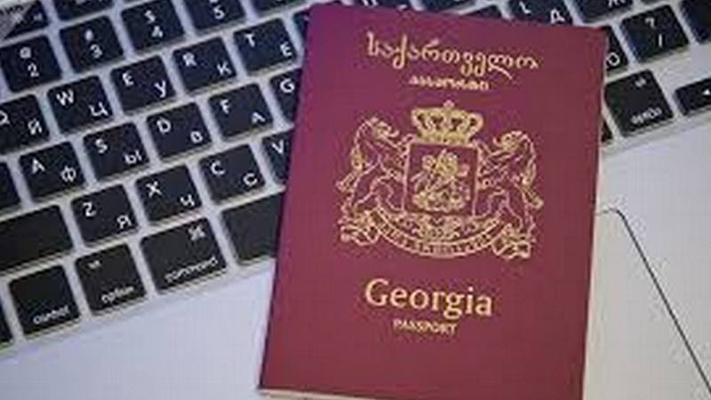 В 2018-2022 годах гражданство Грузии предоставлено 13 575 лицам