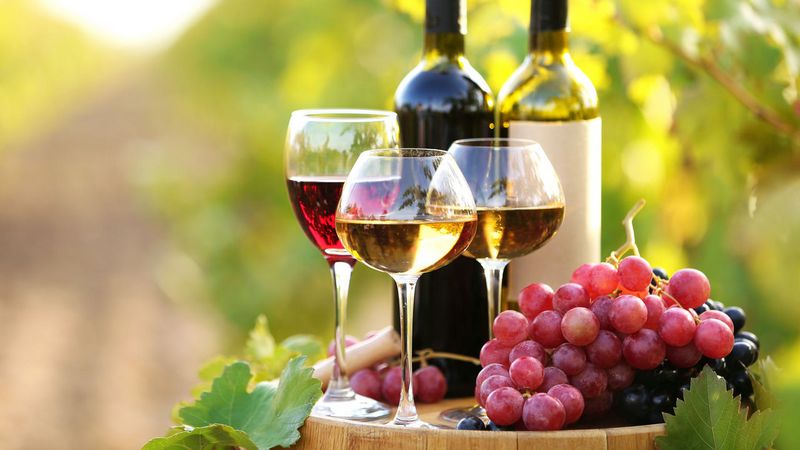 Грузия занимает первое место по поставкам вина в Россию