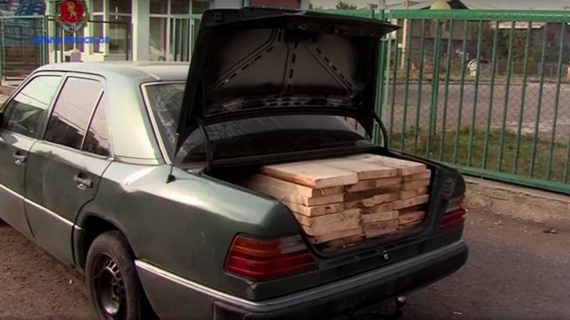 В Самцхе-Джавахетии выявлено 24 случая незаконной вырубки деревьев