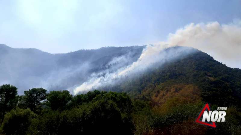 Пожарные и рейнджеры Ниноцминды тушат пожар в Боржомском лесу