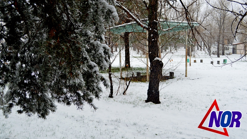 Майский снег в Ниноцминде