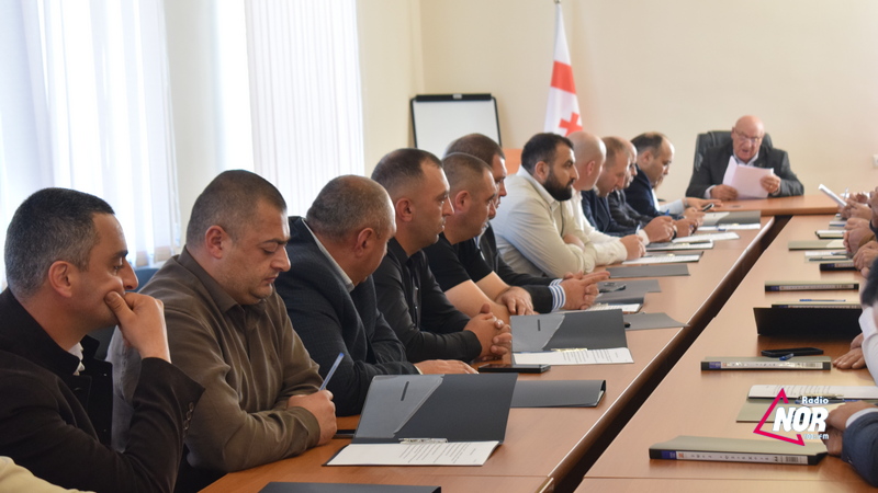 Стало известно кто какие должности будет занимать в Ниноцминдском сакребуло