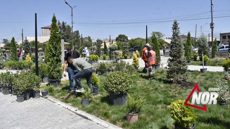 Новые кусты и деревья посажены во дворе Центра культуры города Ниноцминда\фото