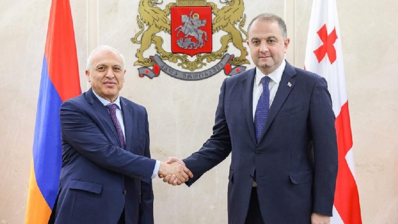 Ираклий Чиковани встретился с послом Армении в Грузии Ашотом Смбатяном