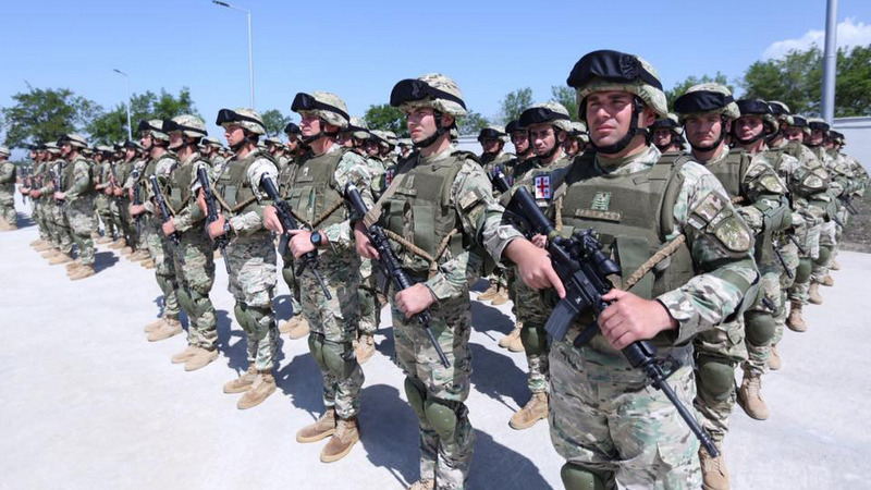 31-й пехотный батальон Минобороны Грузии провел масштабные полевые учения