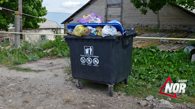 В селе Каурма жители жалуются на переполненные мусорные баки
