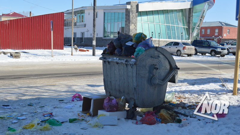 Мусорный бак на улице Свободы забит мусором