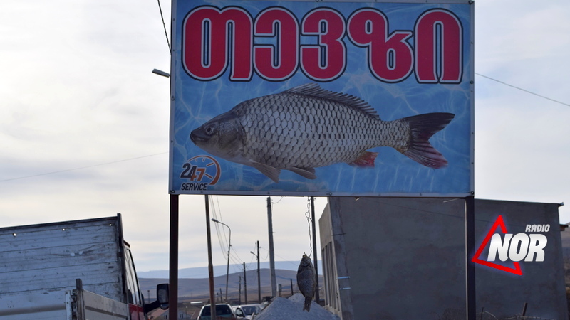 Количество рыбы в озере Паравани уменьшилось Причина и последствия