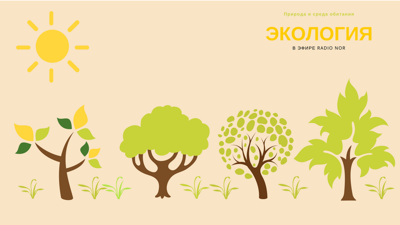 Япония признала перспективы грузинской индустрии «зеленого водорода»