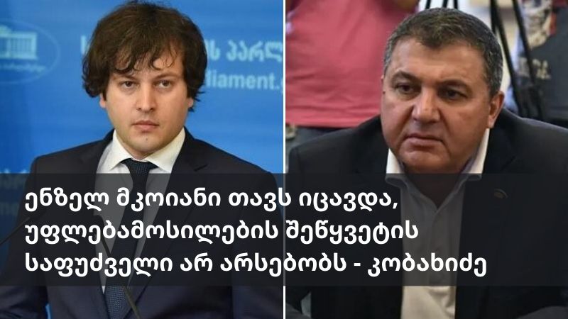«Мкоян защищался, нет причин его задерживать», — Кобахидзе