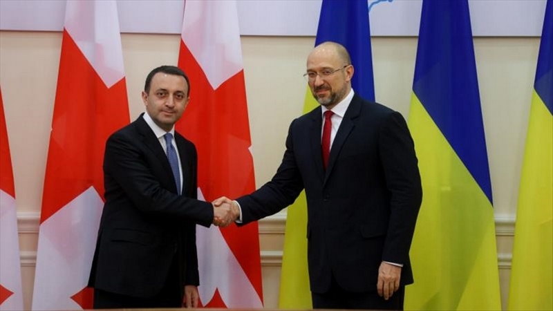 Премьер-министры Грузии и Украины обсудили российскую оккупацию