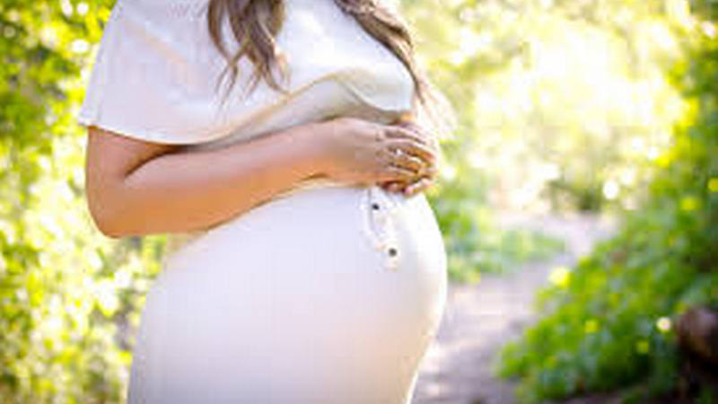 Трудовые права беременных