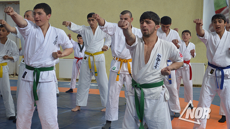 Спортсмены Ниноцминдцы  завоевали 28 медалей в первенстве по карате в Армении