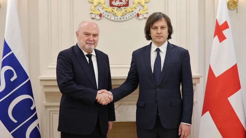 Ираклий Кобахидзе встретился с генеральным секретарем ОБСЕ