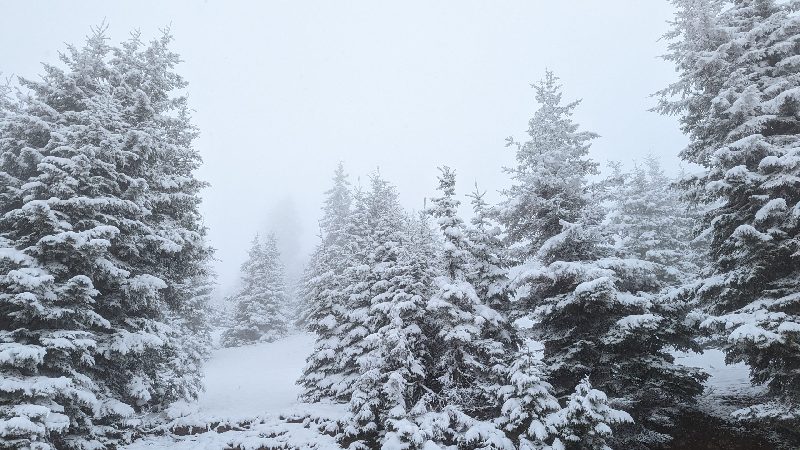 До 26 декабря в Грузии ожидается погода с осадками, метель и опасность схода лавин