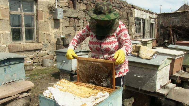 Грузинский мёд пользуется интересом в Дубае